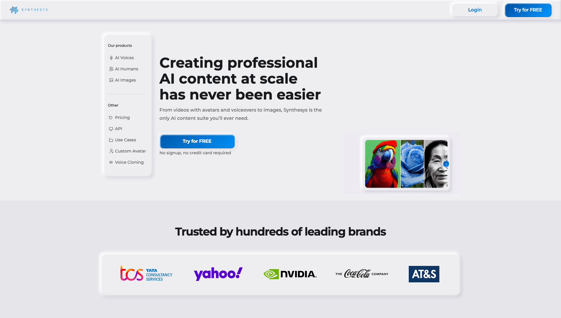 Screenshot of the Synthesys website